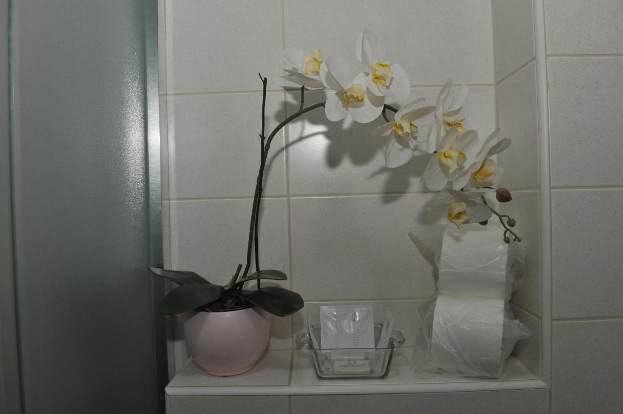 Angellina Apartmani Sremska Mitrovica Buitenkant foto